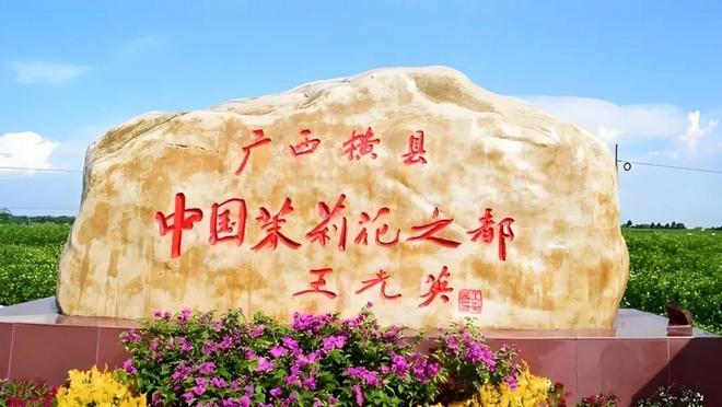 莉之名绽放民族品牌新篇章不朽情缘植粹花海：以茉(图1)