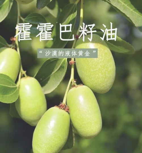 ”盘点：冷门但巨好用的10款宝藏单品不朽情缘平台推荐沐浴露排行榜“黑马(图4)