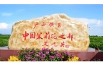 莉之名绽放民族品牌新篇章不朽情缘植粹花海